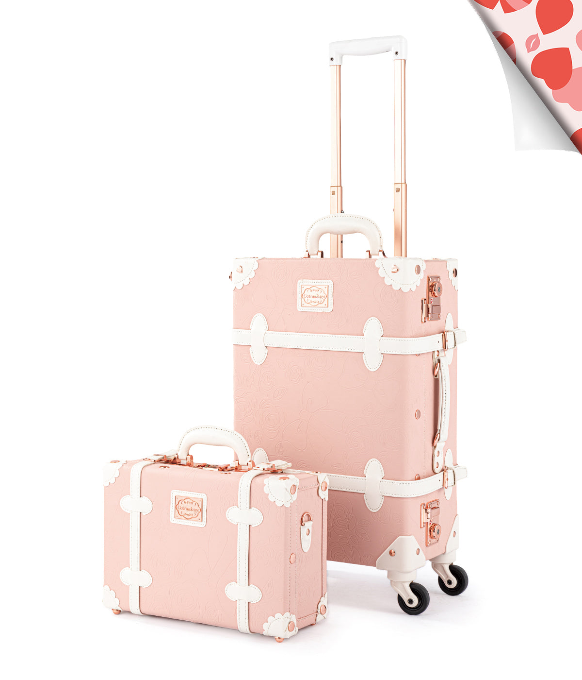 Botanica Medium Check-in Set - Train Case